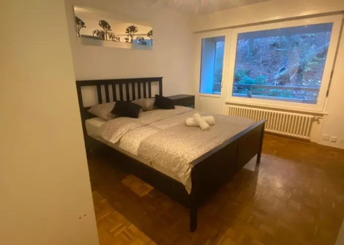 Centre De Apartment *